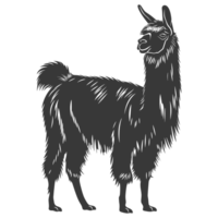 AI generated Silhouette llama animal black color only full body png