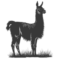 ai généré silhouette lama animal noir Couleur seulement plein corps png