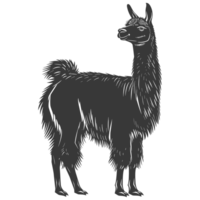 AI generated Silhouette llama animal black color only full body png