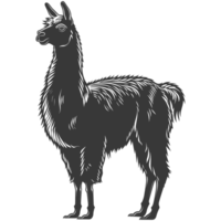 AI generated Silhouette llama animal black color only full body png