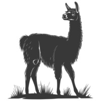 AI generated Silhouette llama animal black color only full body png