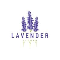 Lavender Logo Elegant Purple Flower Plant Illustration Floral Ornament Design vector