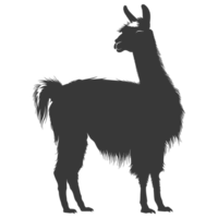 AI generated Silhouette llama animal black color only full body png