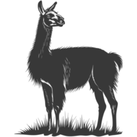 AI generated Silhouette llama animal black color only full body png