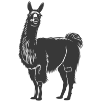 AI generated Silhouette llama animal black color only full body png