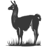 AI generated Silhouette llama animal black color only full body png