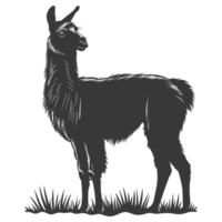 AI generated Silhouette llama animal black color only full body png