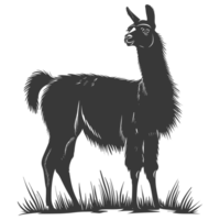 AI generated Silhouette llama animal black color only full body png