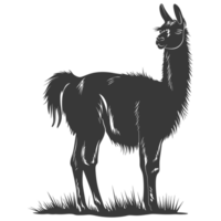 AI generated Silhouette llama animal black color only full body png