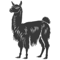 AI generated Silhouette llama animal black color only full body png