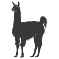 AI generated Silhouette llama animal black color only full body png