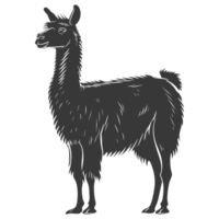 AI generated Silhouette llama animal black color only full body png