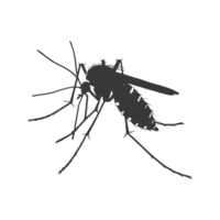 AI generated Silhouette mosquito animal black color only full body png