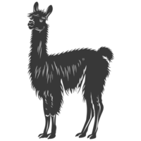 AI generated Silhouette llama animal black color only full body png