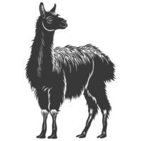 AI generated Silhouette llama animal black color only full body png