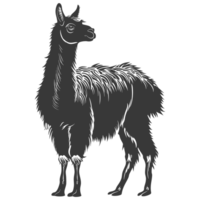 ai generado silueta llama animal negro color solamente lleno cuerpo png