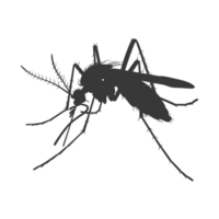 AI generated Silhouette mosquito animal black color only full body png