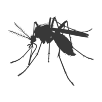 AI generated Silhouette mosquito animal black color only full body png