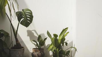 AI generated Three Potted Plants on Shelf. Generative AI. photo