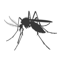 ai generato silhouette zanzara animale nero colore solo pieno corpo png