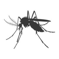 AI generated Silhouette mosquito animal black color only full body png