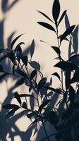 AI generated Shadow of Plant Casting on Wall. Generative AI. photo