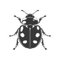 ai generado silueta mariquita animal mosca negro color solamente png