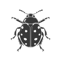 ai generato silhouette coccinella animale volare nero colore solo png