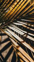 AI generated Close-Up of Palm Tree Leaves. Generative AI. photo