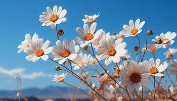 AI generated Freshness and beauty in nature a meadow of daisies generated by AI photo