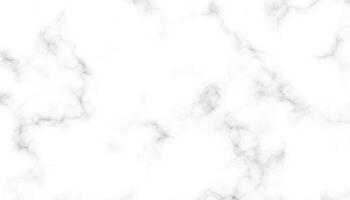 blanco mármol textura y antecedentes. negro y blanco mármol piedra, pared losas textura. blanco carrara mármol Roca textura. sin costura modelo de loseta Roca con brillante y lujo vector