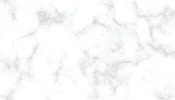 White marble texture panorama luxurious background pattern. White and black Stone ceramic art wall interior backdrop design. vector