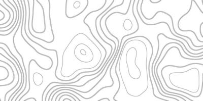 abstract pattern with lines. background of the topographic map. elevation contouring outline cartography texture. geographic abstract grid. futuristic wireframe landscape background vector