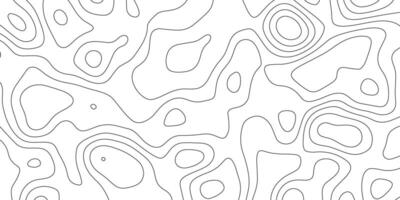 Background of the topographic map. Elevation contouring outline cartography texture. Geographic abstract grid. Futuristic wireframe landscape background. black and white seamless pattern vector