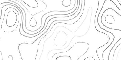 abstract pattern with lines. Background of the topographic map. vector