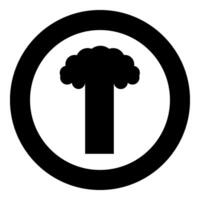 Nuclear explosion burst mushroom explosive destruction icon in circle round black color vector illustration image solid outline style