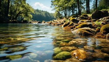 AI generated Tranquil scene green forest, flowing water, reflecting the beauty generated by AI photo