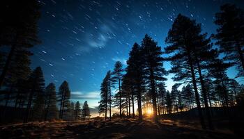 AI generated Silhouette of pine trees under starry winter night sky generated by AI photo