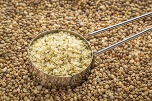 hemp seed hearts in a metal measuring scoop against dry hemp seed background photo
