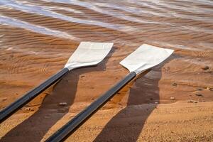 blades of hatchet sculling oars on a sandy lake beach photo