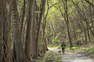 older man walking with a dog in a forest in springtime - Steamboat Trace Trail near Peru, Nebraska photo