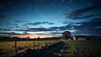 AI generated Tranquil meadow, dark sky, star trail, old tree, serene landscape generated by AI photo