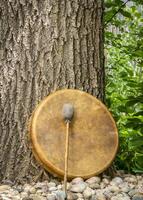 hecho a mano, nativo americano estilo, chamán marco tambor cubierto por cabra piel con un batidora debajo un roble árbol foto