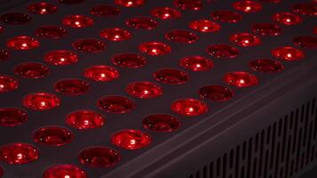 detail of red light therapy panel  for skin health, pain relief, recovery and muscle performance and inflammation reduction photo