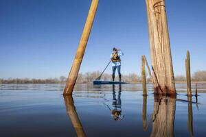 cañas en un calma lago en primavera con un fuera de atención estar arriba palista, rana perspectiva desde un acción cámara a agua nivel foto