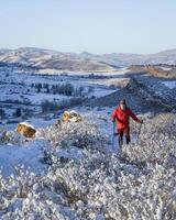 senior hiker in winter scenery of Rocky Mountains foothills in northern Colorado, Lory State Park photo