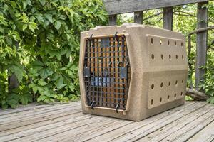 sturdy dog travel kennel on wooden backyard deck photo