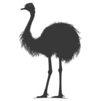 AI generated Silhouette ostrich animal black color only full body png