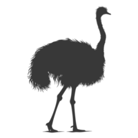 AI generated Silhouette ostrich animal black color only full body png