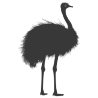 AI generated Silhouette ostrich animal black color only full body png